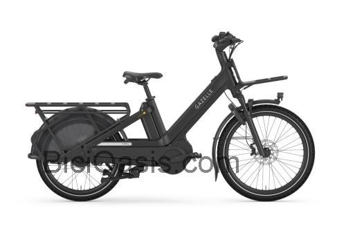 Gazelle Cabby opinión y ficha técnica